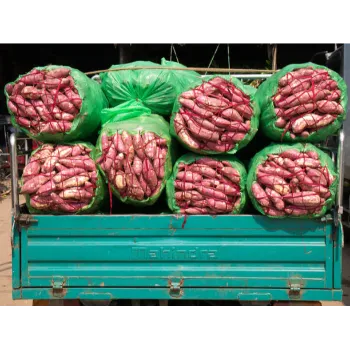 Natural Sweet Potato 